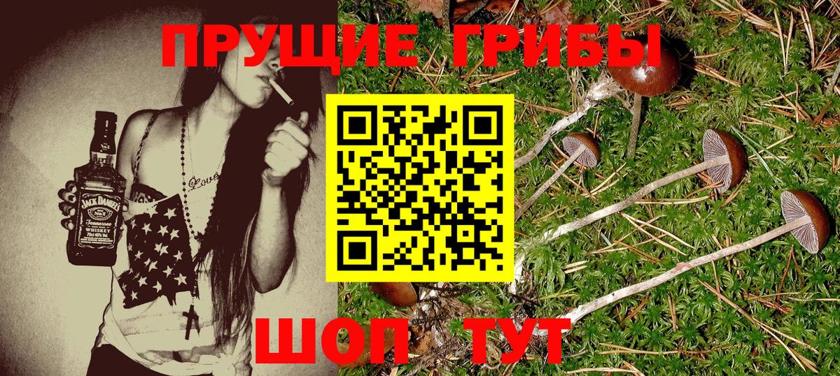 Галлюциногенные грибы мухоморы  Вход с VPN  Томск 